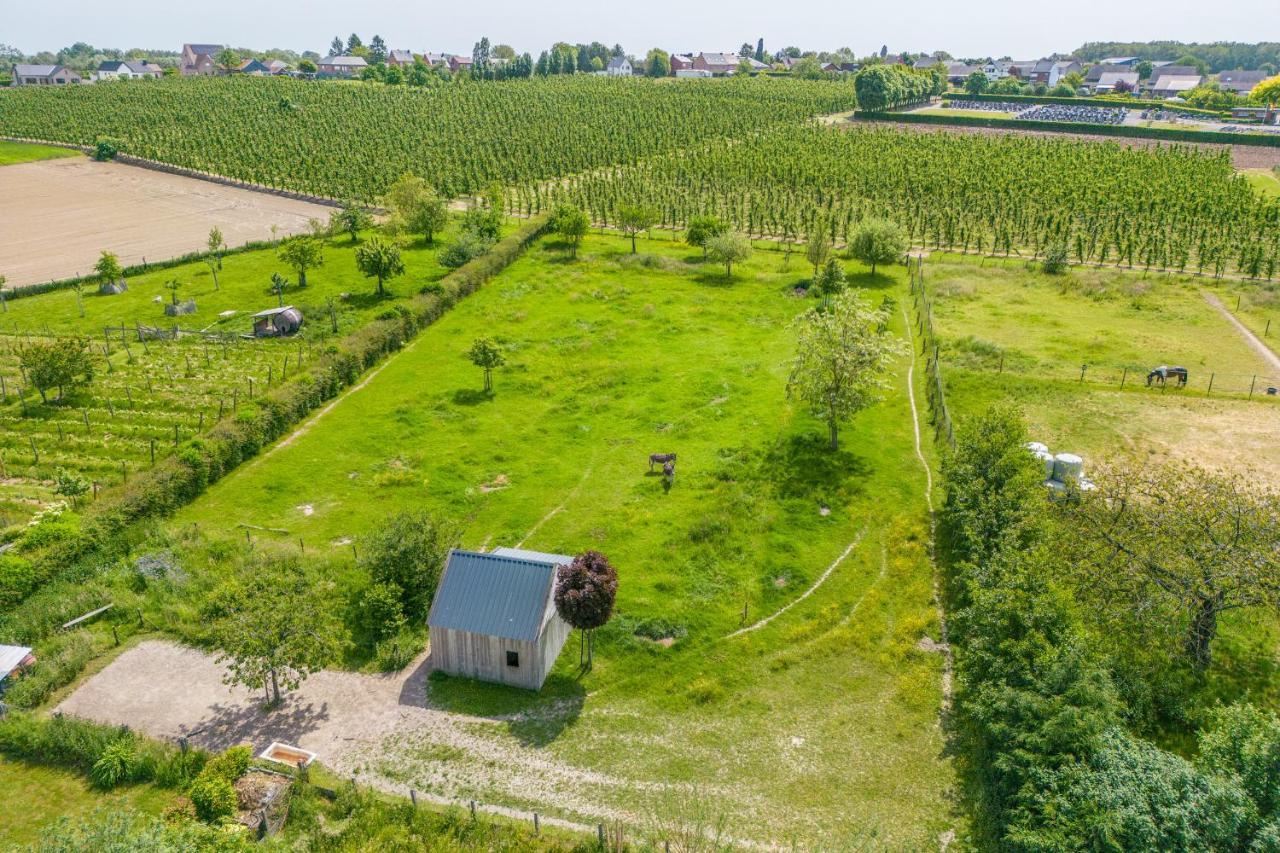 Unique Hideaway, Holiday House With Large Garden Kortenaken Eksteriør bilde